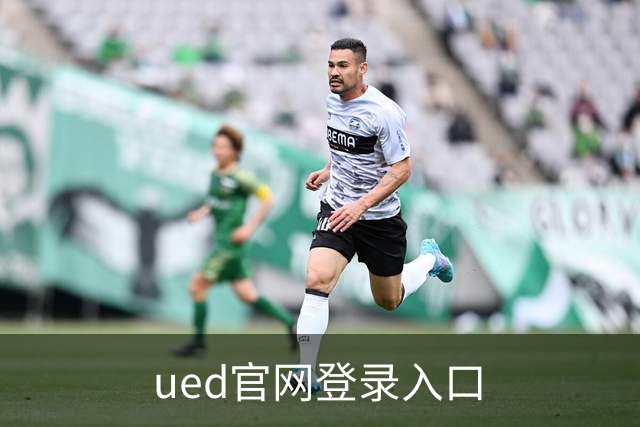 ued官网登录入口 公司简介